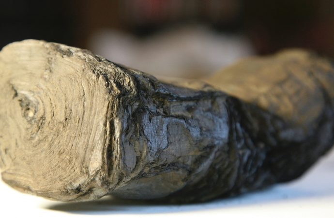 Scorched ancient scrolls could be made readable once again