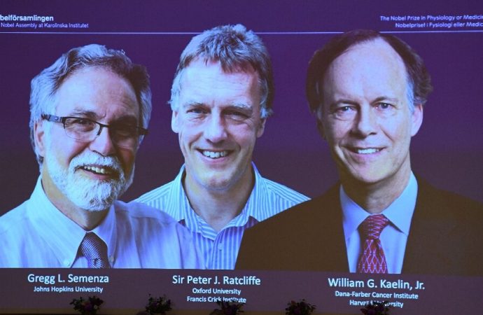 Three Scientists Just Won The Nobel Prize In Medicine For Discovering How Oxygen Affects Cells