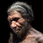 Bad luck may have caused Neanderthals’ extinction – study