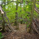 Hunter records mysterious, echoing howl in the Northern Ontario woods