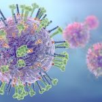 Ketogenic diet helps tame flu virus