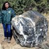 ‘Wizard Rock,’ 1-ton boulder that disappeared from Arizona forest, ‘magically’ returns