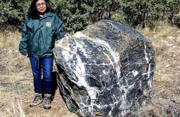 ‘Wizard Rock,’ 1-ton boulder that disappeared from Arizona forest, ‘magically’ returns