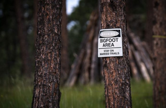‘Expedition Bigfoot’ Scours Oregon Woods for Signs of the Mythical and Elusive Beast