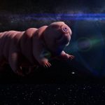 Tardigrade DNA Added to Human Cells Could Help Us Survive on Mars, Scientist Says