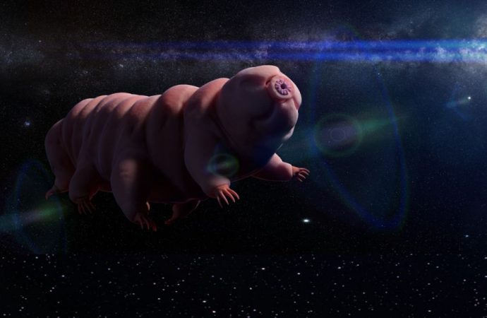 Tardigrade DNA Added to Human Cells Could Help Us Survive on Mars, Scientist Says