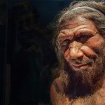 Africans carry surprising amount of Neanderthal DNA