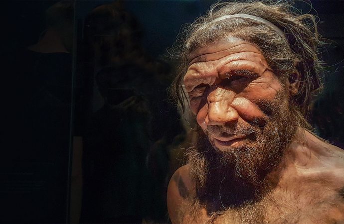 Africans carry surprising amount of Neanderthal DNA