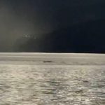 Father and son film ‘Ogopogo’ in Canadian lake