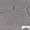 For the First Time, Scientists Capture the Chemical Bonds between Atoms Forming and Breaking