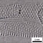 For the First Time, Scientists Capture the Chemical Bonds between Atoms Forming and Breaking