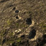 Fossilized Footprints Show Neanderthals Climbing An Active Volcano
