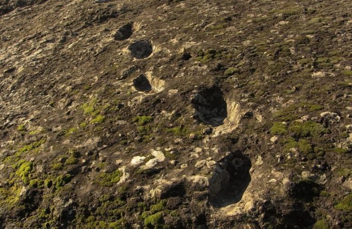 Fossilized Footprints Show Neanderthals Climbing An Active Volcano