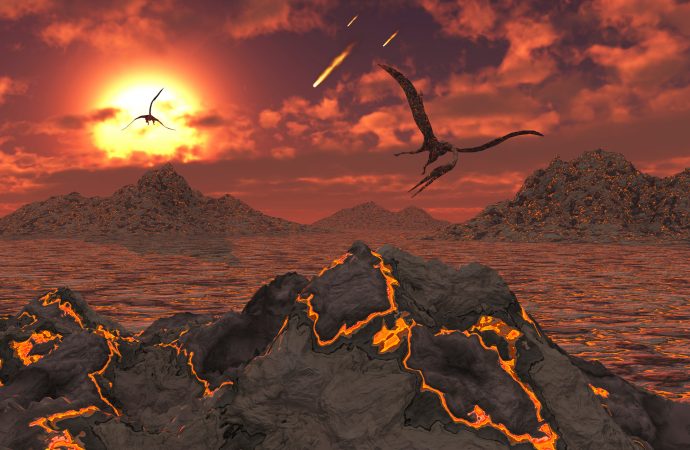 How the dinosaur-killing asteroid primed Earth for modern life