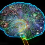 Quantum Mechanics Helps Explain Why Humans Sometimes Make Foolish Decisions