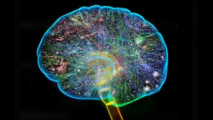 Quantum Mechanics Helps Explain Why Humans Sometimes Make Foolish Decisions