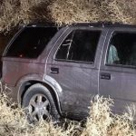 Tumbleweed Storm Stops Traffic, Buries Vehicles in Washington