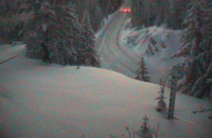 ‘Bigfoot’ spotted on Washington state’s Sherman Pass webcam, sparking new frenzy over fabled beast