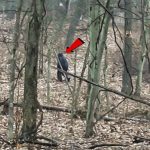 2 men claim ‘Bigfoot’ sighting in Ohio, video goes viral