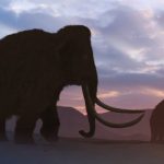 Ancient Genes Reveal The Last Mammoths on Earth Were a Sickly Mess