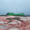 Antarctica snow turns ‘blood red’