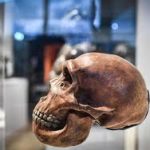 Scientists find evidence of ‘ghost population’ of ancient humans