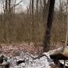 Terrifying ‘Bigfoot’ screams recorded in Ohio