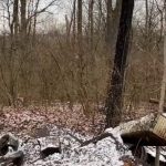 Terrifying ‘Bigfoot’ screams recorded in Ohio