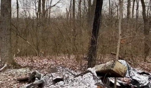 Terrifying ‘Bigfoot’ screams recorded in Ohio