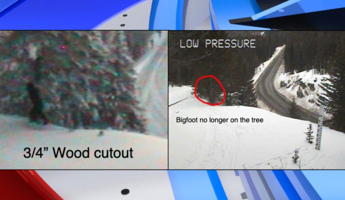 WSDOT finds “Bigfoot” Sherman Pass sighting was cutout placed on tree