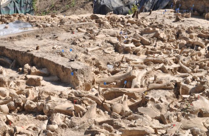A Mysterious 25,000-Year-Old Structure Built of the Bones of 60 Mammoths