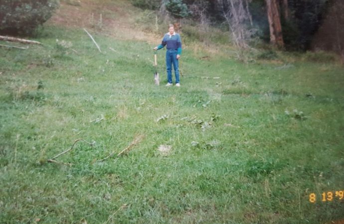 Did alien spacecraft land in southern Colorado?