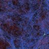 New Candidate Particle for Dark Matter: D-Star Hexaquark