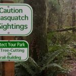 Sasquatch watch: Bigfoot ‘sightings’ over the years