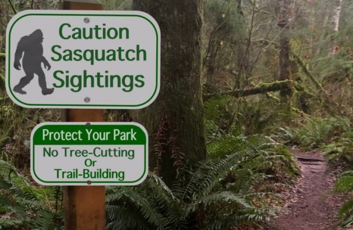 Sasquatch watch: Bigfoot ‘sightings’ over the years