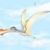 Scientists discover three new species of pterosaurs in the Sahara