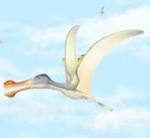 Scientists discover three new species of pterosaurs in the Sahara