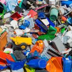 Scientists find bug that feasts on toxic plastic
