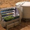 Space-grown lettuce to give astronauts a more varied diet