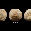 Mystery of 2 million-year-old stone balls solved