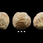 Mystery of 2 million-year-old stone balls solved