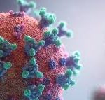 Scientists Are Tired of Explaining Why The COVID-19 Virus Was Not Made in a Lab