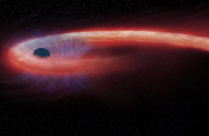 A star shredded by a black hole may have spit out an extremely energetic neutrino