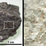 Building blocks of life found in famous Mars meteorite
