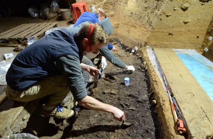 Bulgarian fossils show early arrival of Homo sapiens into Europe