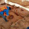 In Mexico City, experts find bones of dozens of mammoths