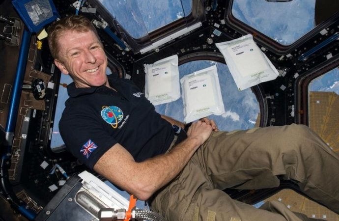 Tim Peake’s space seeds grew slower back on planet Earth