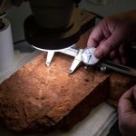 Citizen scientist strikes gold and makes major 460-million-year-old fossil find