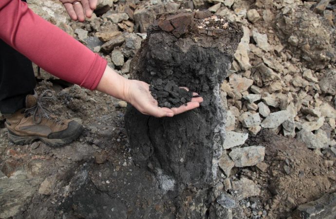 Coal-burning in Siberia led to climate change 250 million years ago