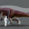 Fossil Footprints Show a Dinosaur as Big as a T. Rex Once Terrorised Australia